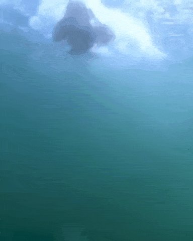 Zachary James Bartel tweet media