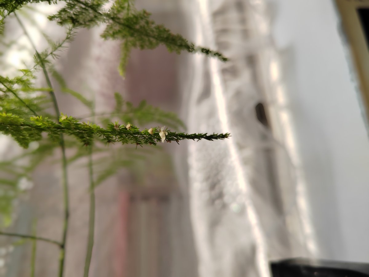 Jhenny Rose Emeterio tweet media