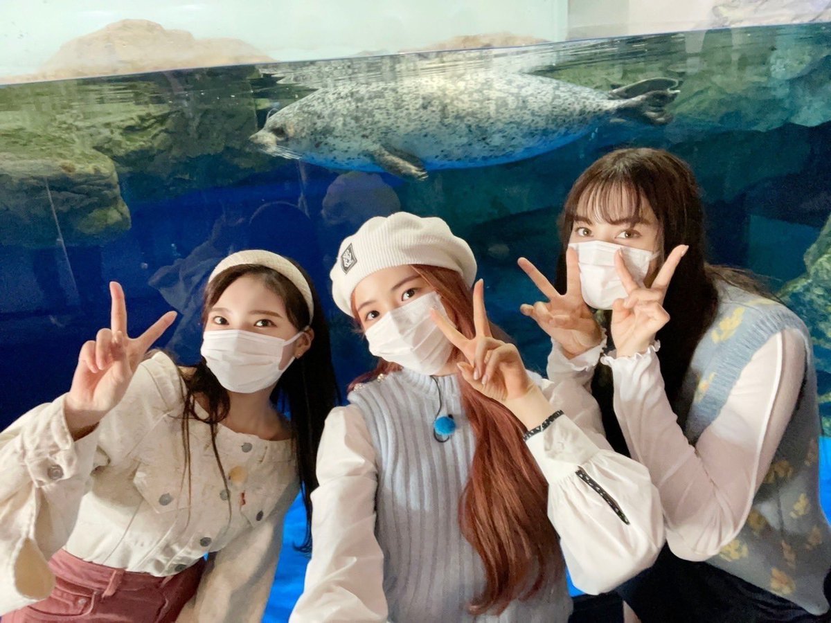 NiziUイズム🐿️ tweet media