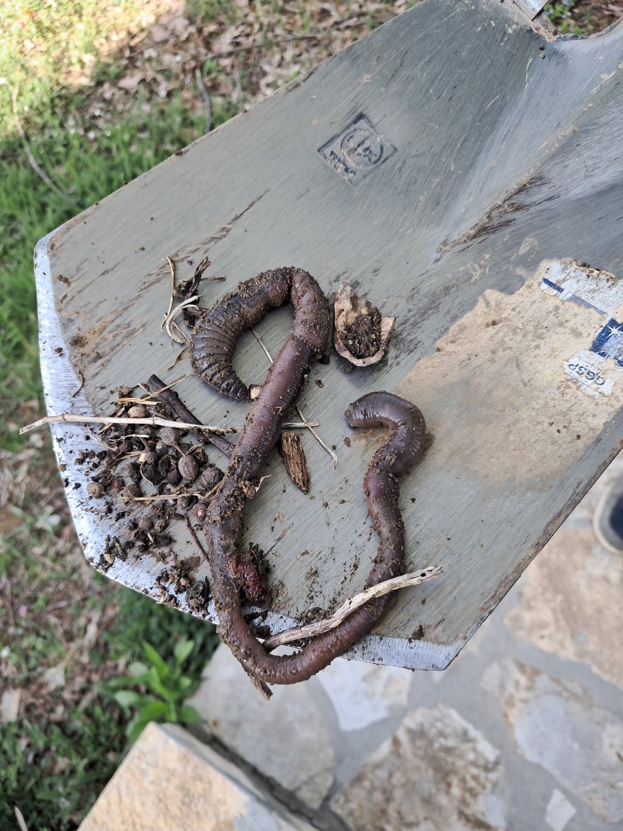 Consigliere® tweet media