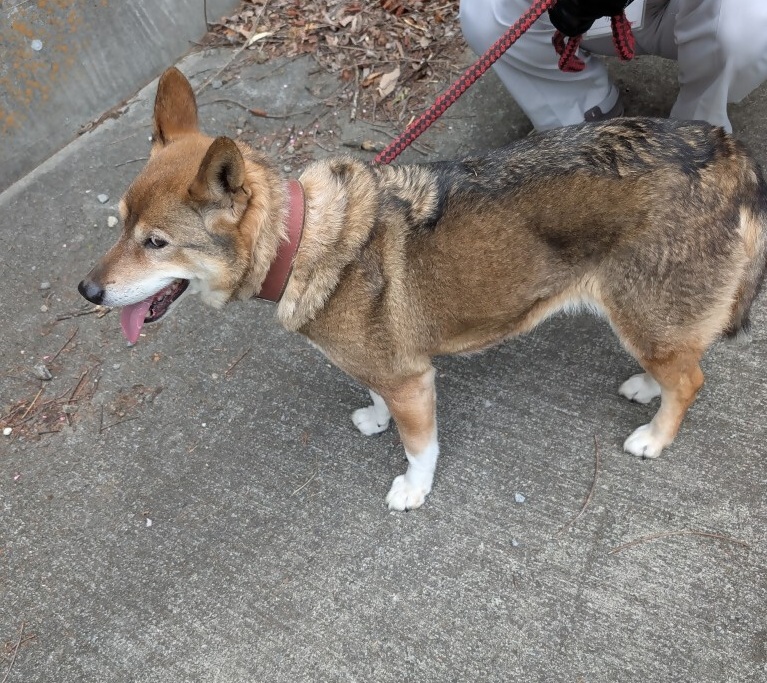 甲州市 tweet media