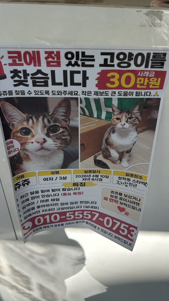 코난 tweet media
