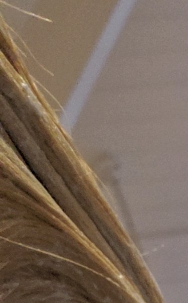 来世は幸せ！@翡翠のまち tweet media