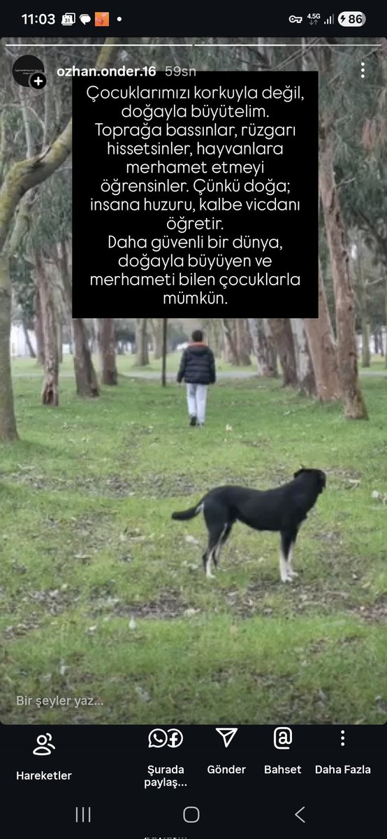 Uyandırma Servisi tweet media