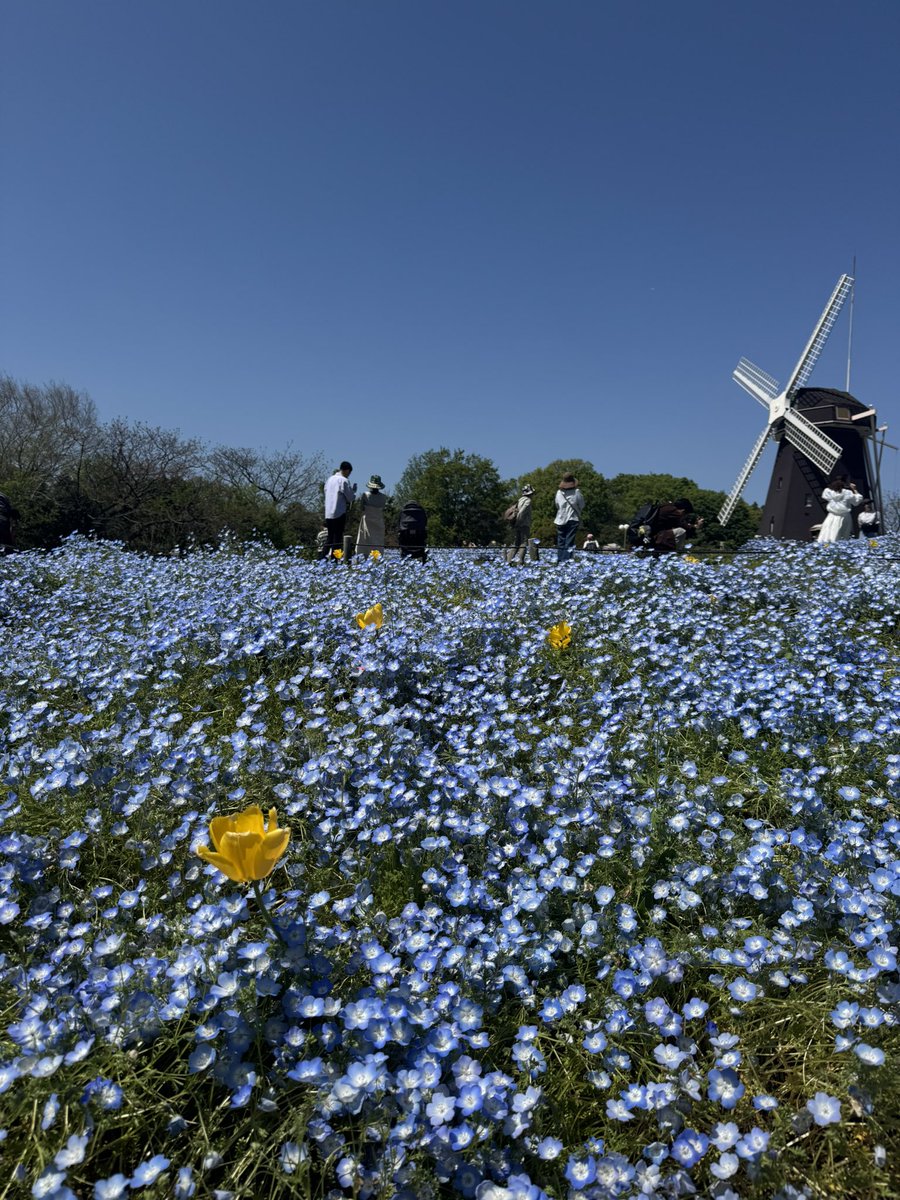 うらた tweet media