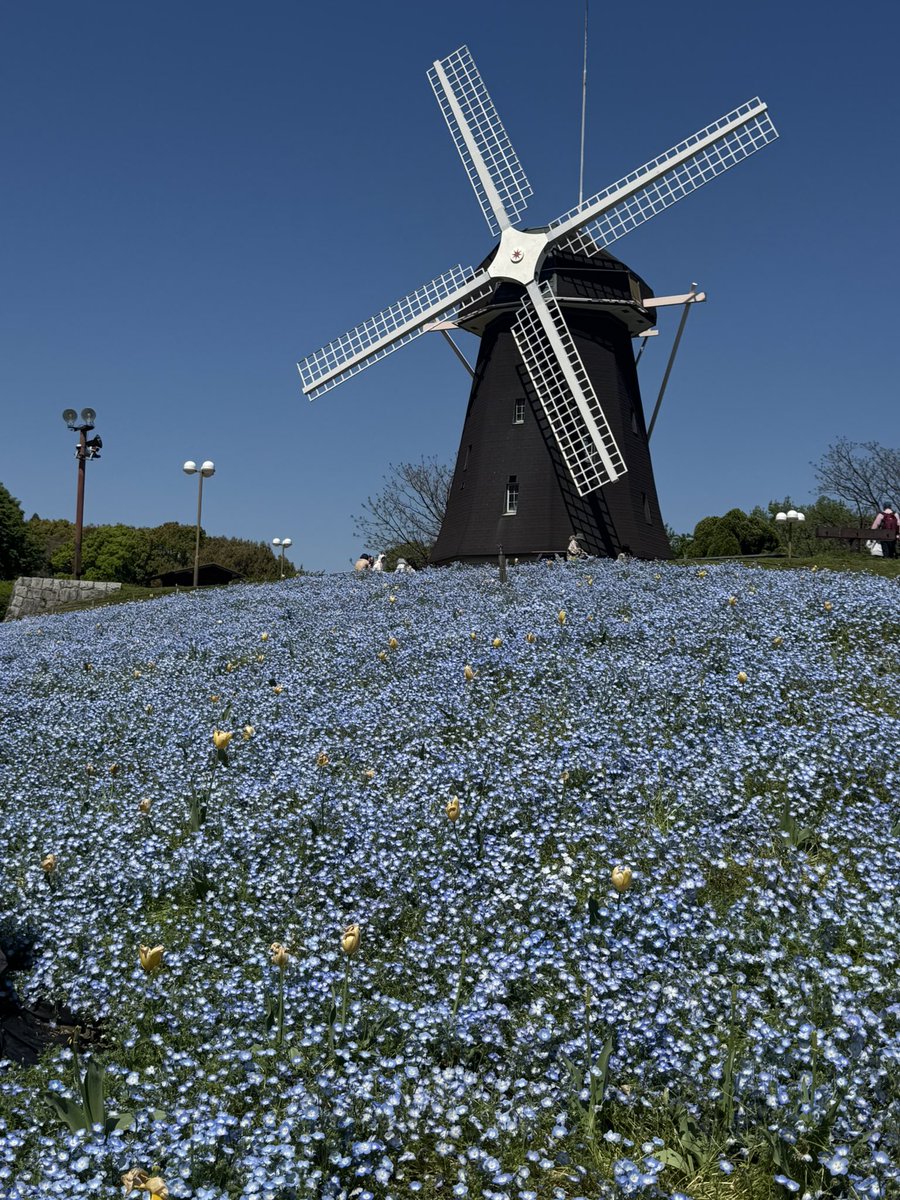 うらた tweet media