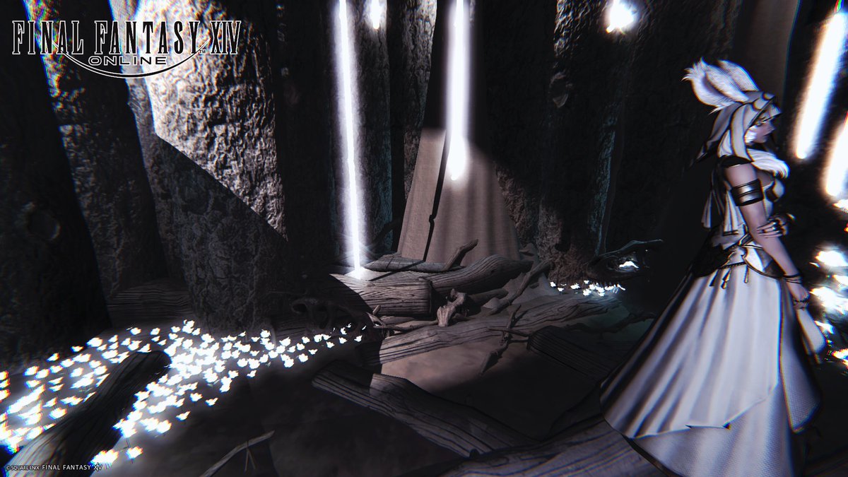 Misian@迷走主婦 tweet media