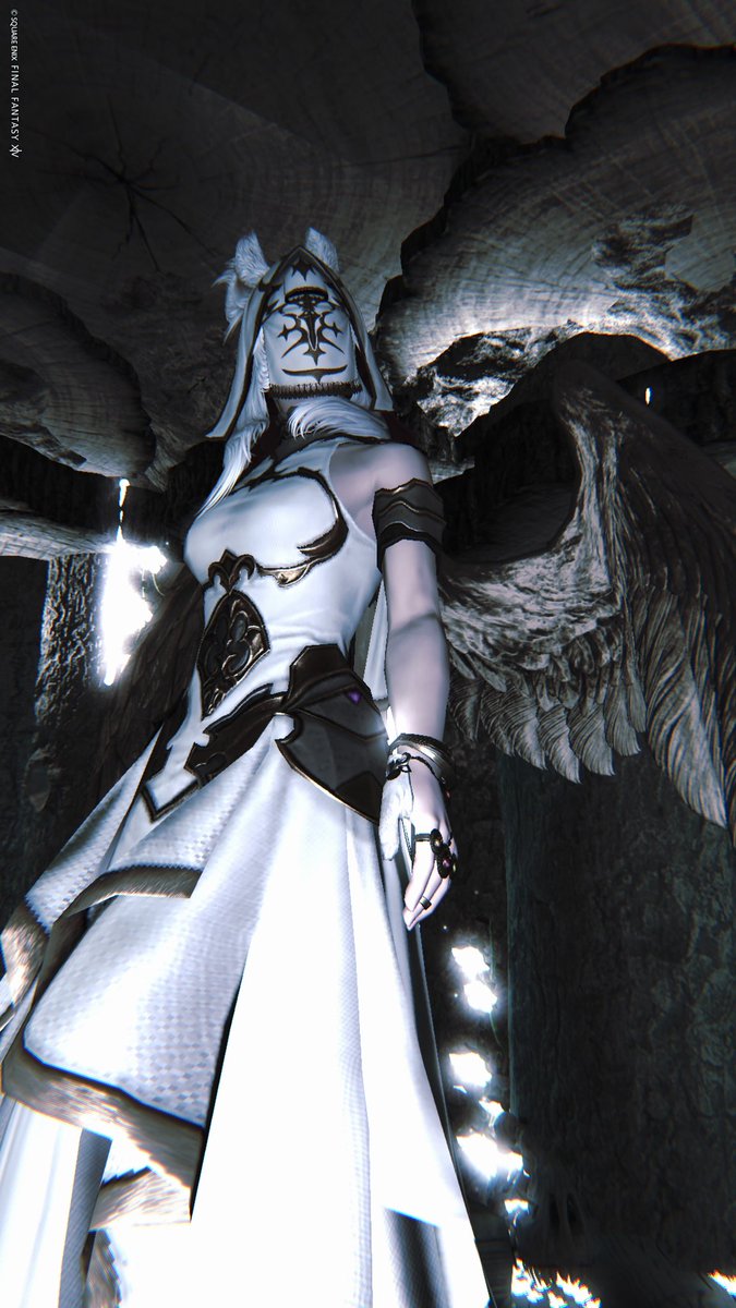 Misian@迷走主婦 tweet media