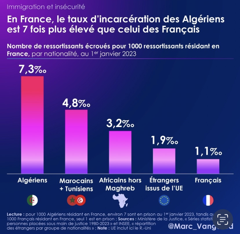 E Chouman tweet media
