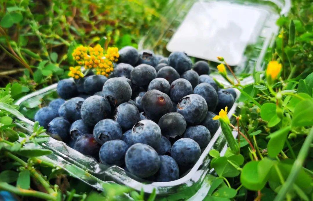 srinivasu tweet media