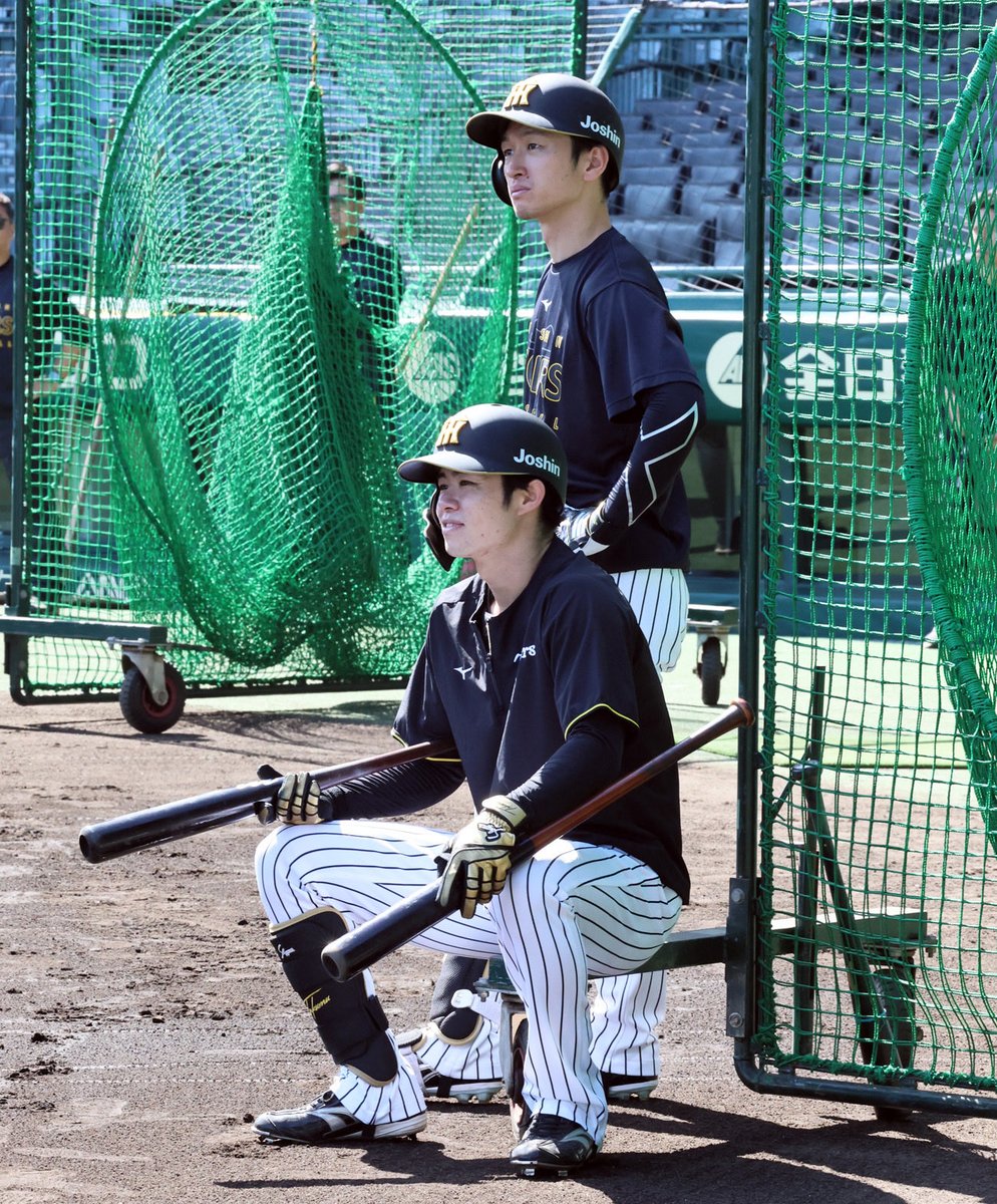 デイリー阪神担当×タイガース tweet media