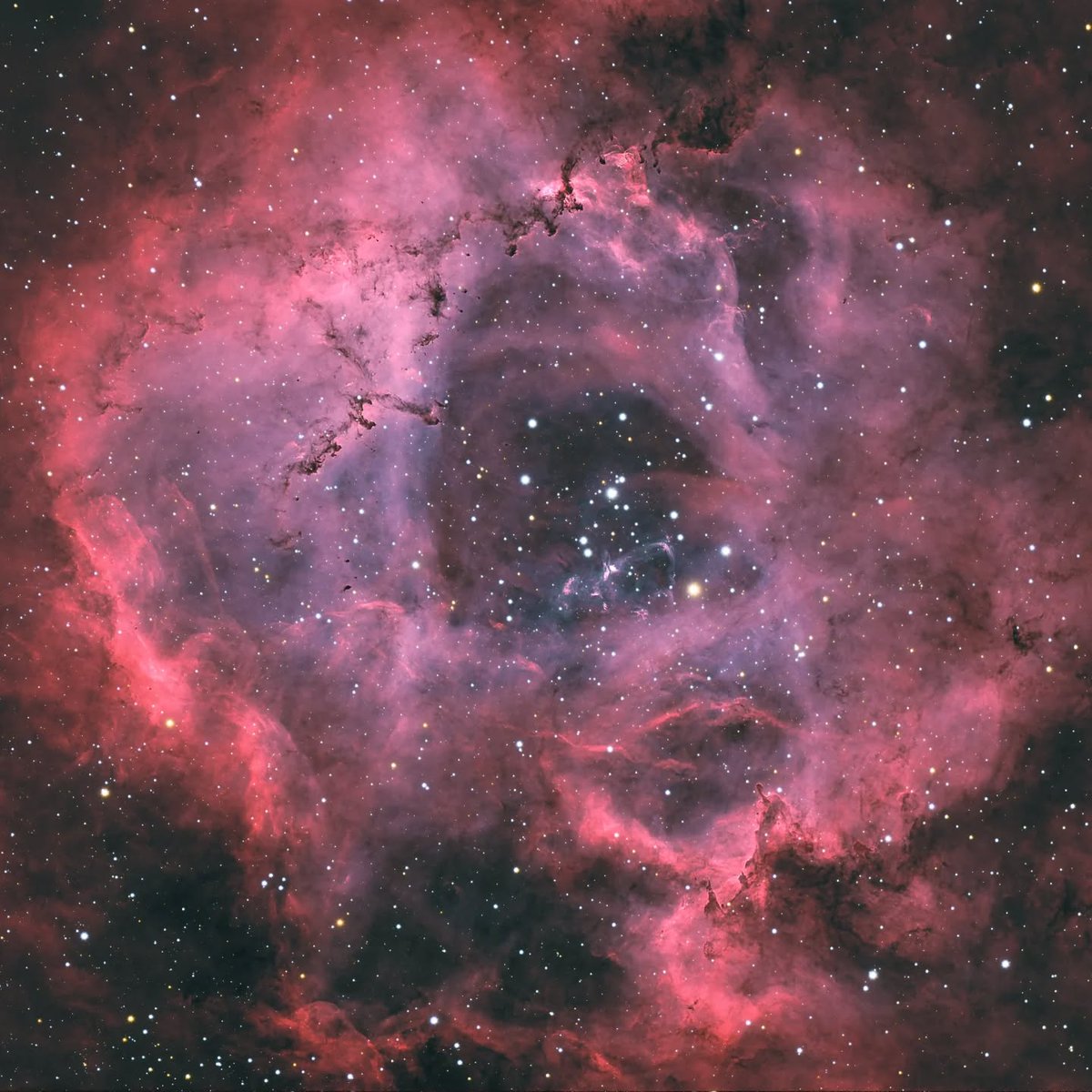 Optolong_filter's tweet image. The Rosette Nebula (NGC 2237) is a vast, star-forming region in the constellation Monoceros.
🔭Explorer Scientific ED102CF
📷Asi2600mc pro
Optolong L-Quad Enhance #filter
TeSeek HM17 Mount 
5hour's total 5minutes exposure's
20 Flat darks 20 Darks
Bortle 6 sky
Credit: Sam Skirchak