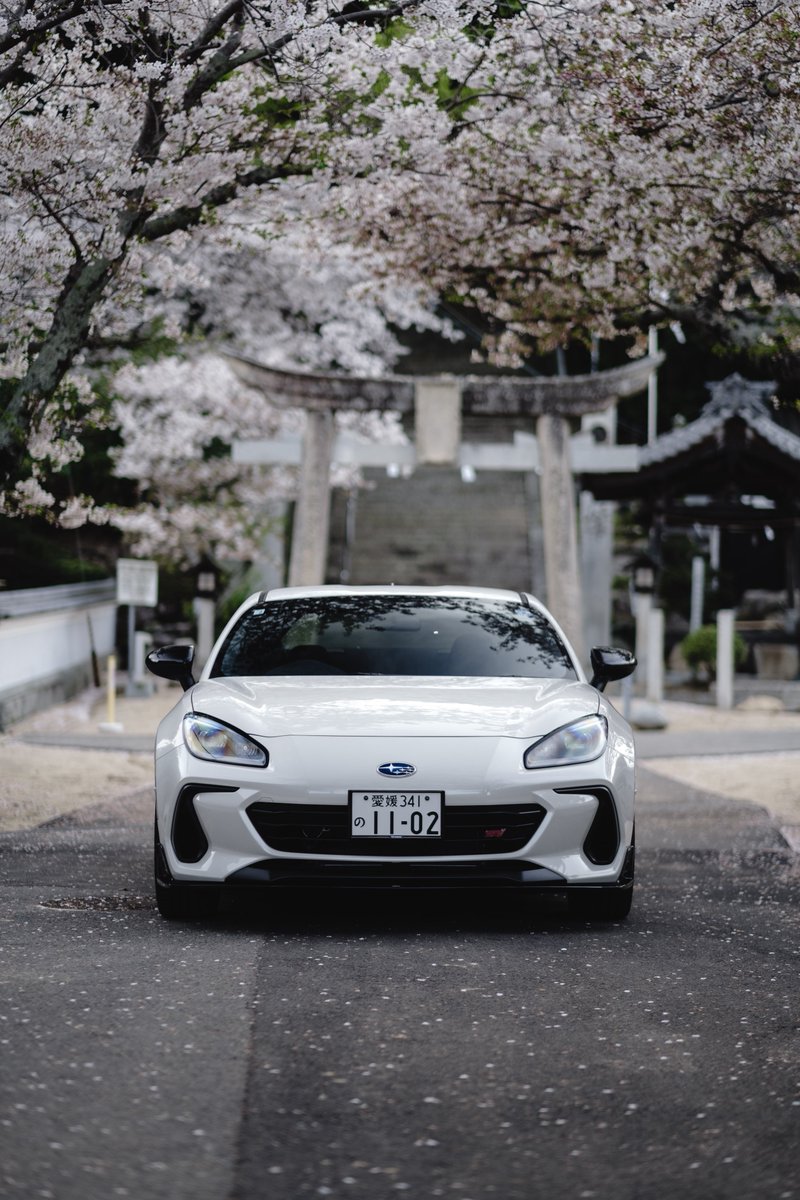 がっくんに桜の写真撮ってもろた🌸📸

散る前に間に合ってよかった〜

ちなもうすぐ5000km🚗³₃
