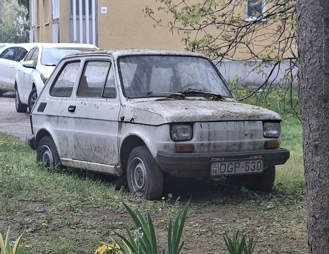 Witold Ściślak tweet media