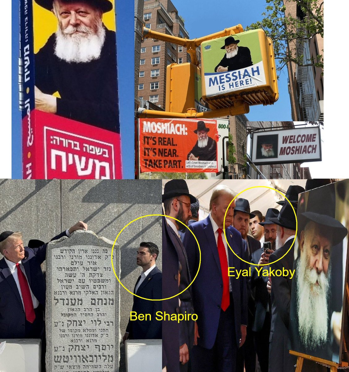 Amira Dalton 🇺🇸 tweet media