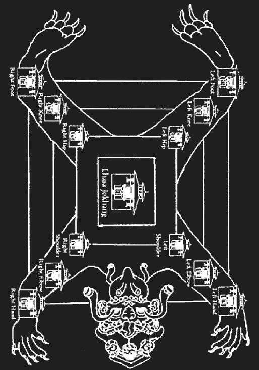 Tenenesk Qhappaq tweet media