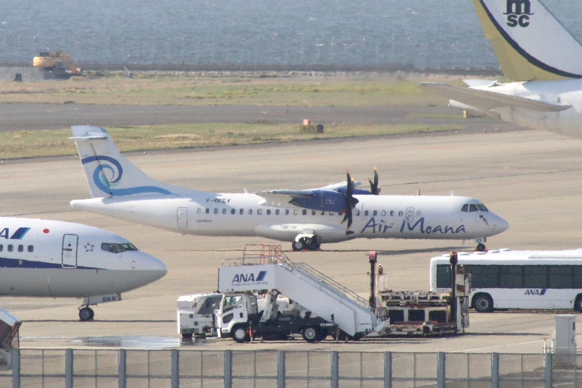 Aliceshin798's tweet image. ようやくモアナATRも回収🇵🇫

#RJGG #セントレア