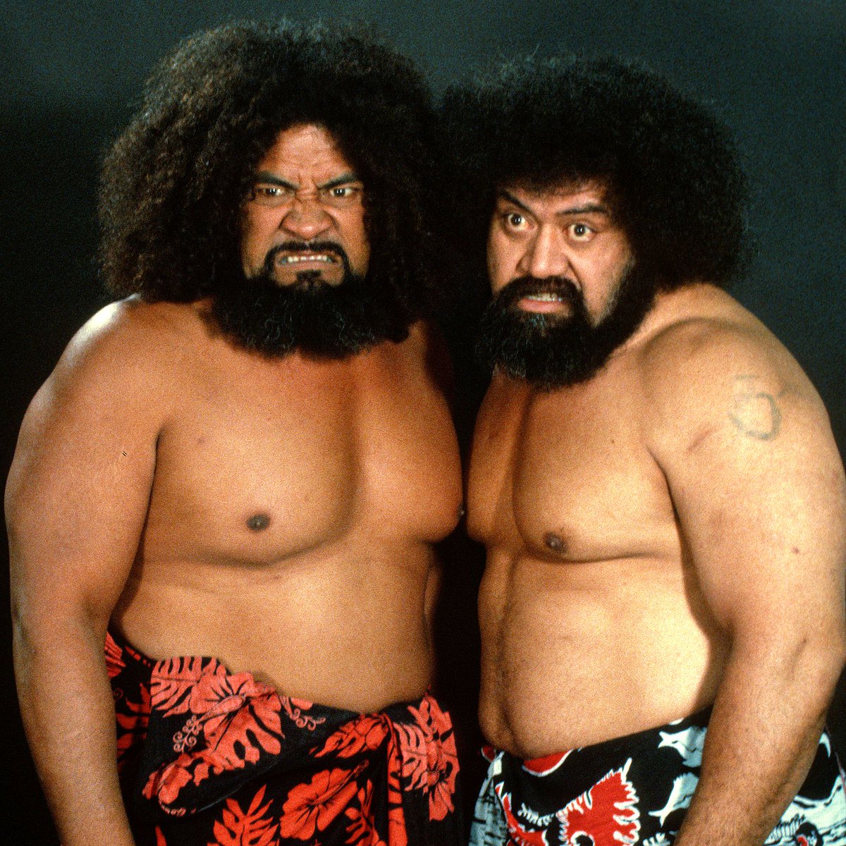 WWFWrestling1's tweet image. 📷 WWF studio shot - The Wild Samoans! 📸 Photo from 1982. 🌴 #WWF #WWE #Afa #Sika #WildSamoans