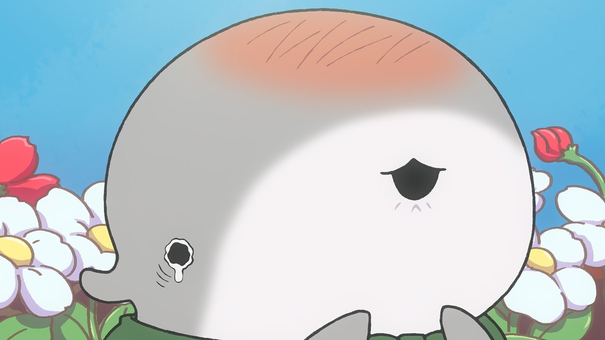 アニメ『おでかけ子ザメ』公式 tweet media