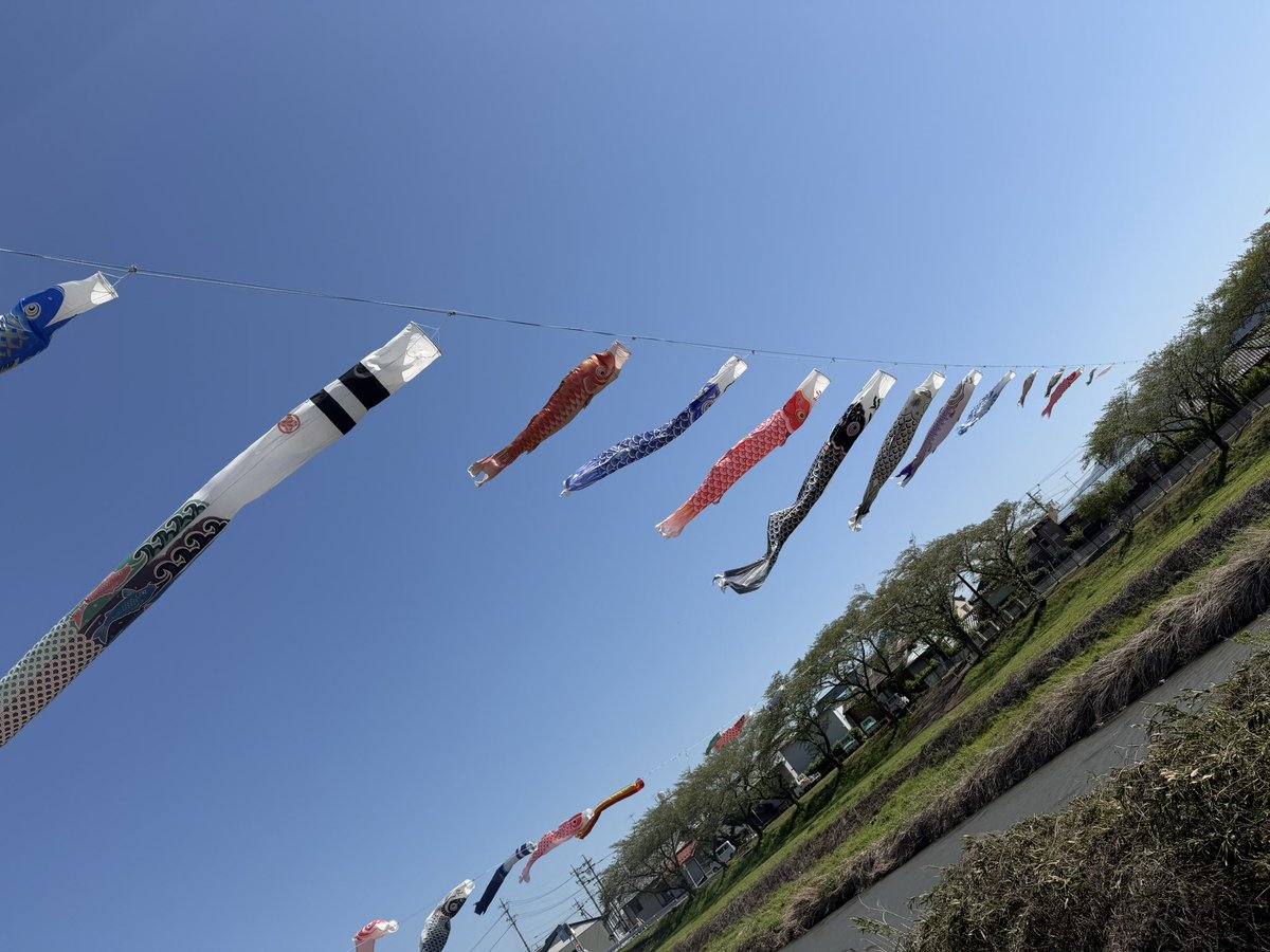 風を裂くアンポコピー tweet media