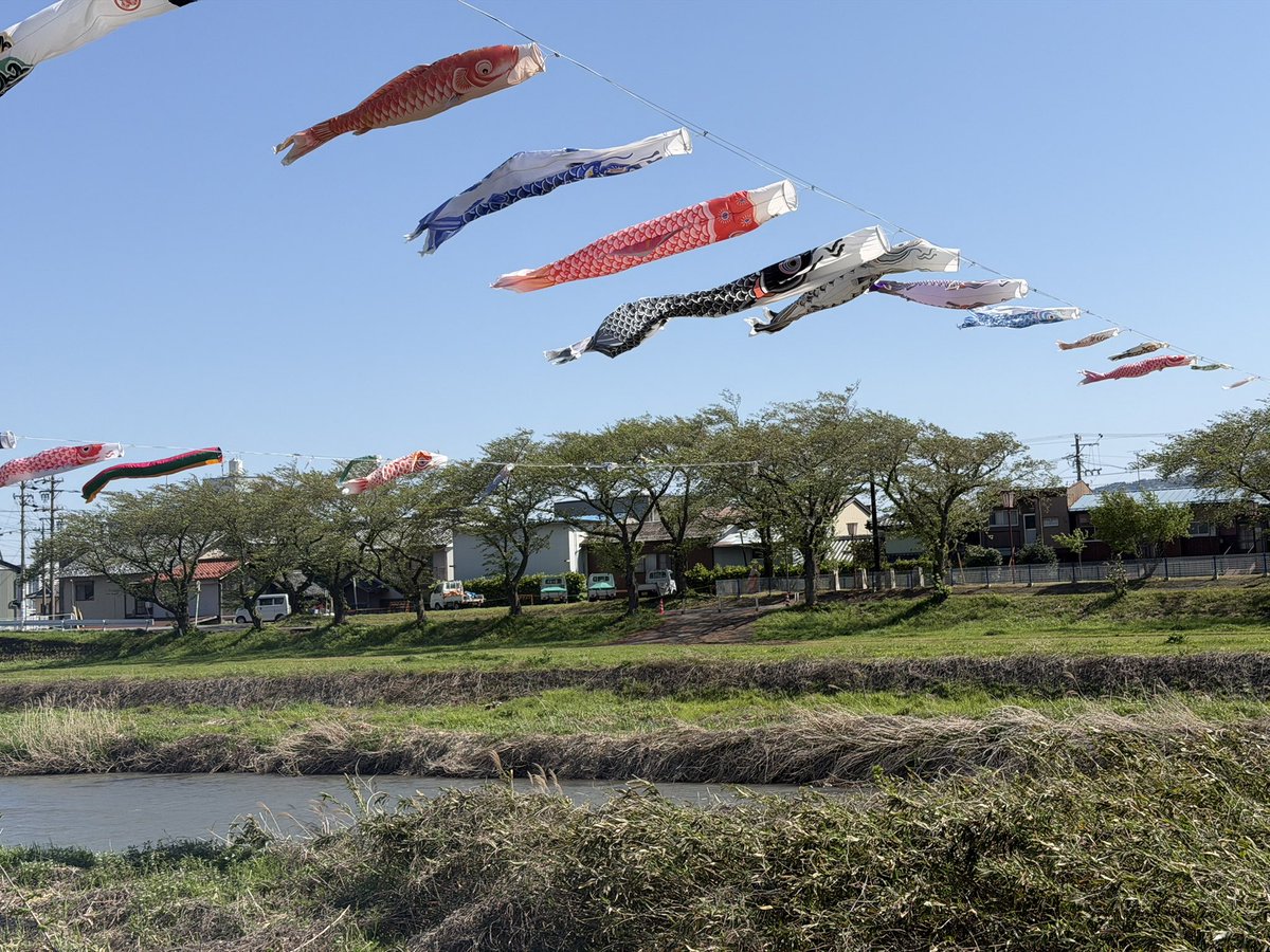 風を裂くアンポコピー tweet media