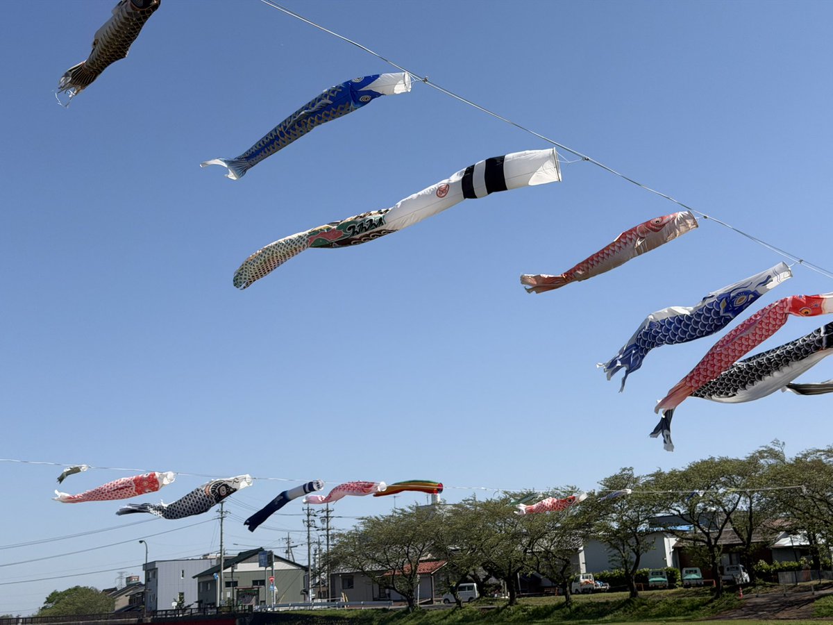 風を裂くアンポコピー tweet media