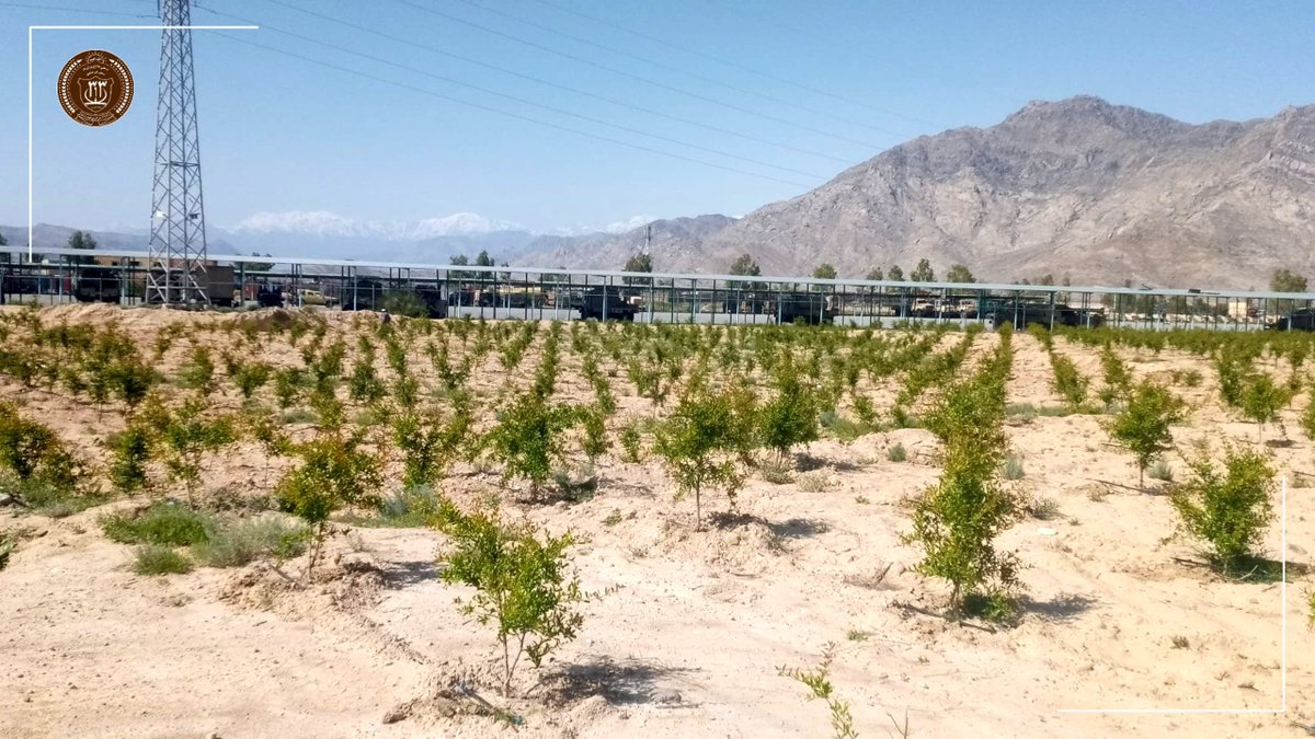 د ٣١٣ مرکزي قول اردو - قول اردوی ۳۱۳ مرکزی tweet media