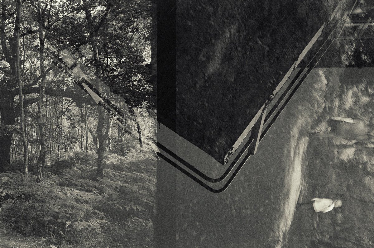 Sergej Komkov tweet media