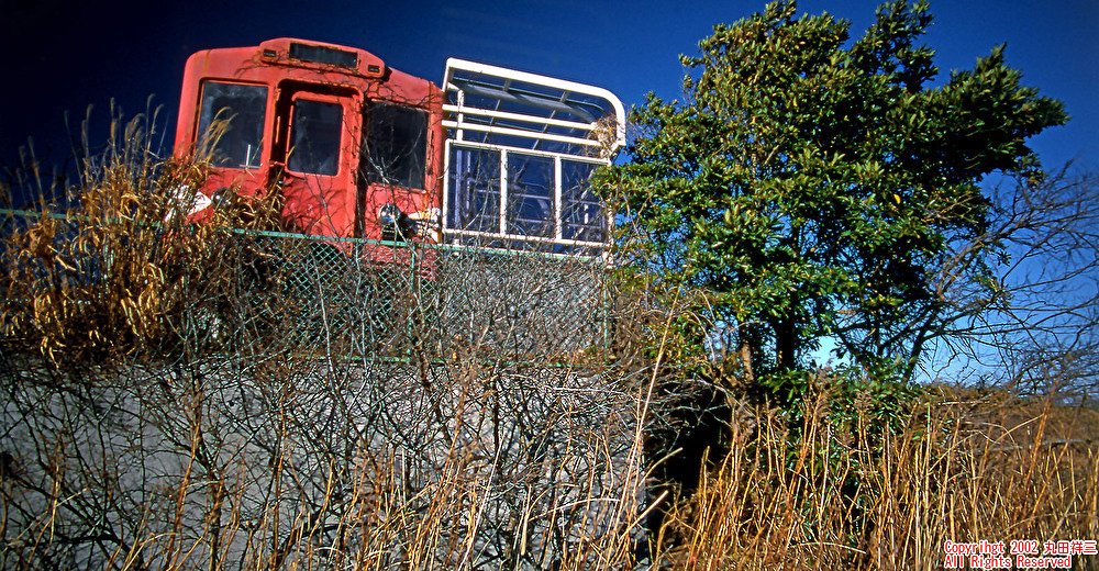 写真家 丸田祥三 tweet media