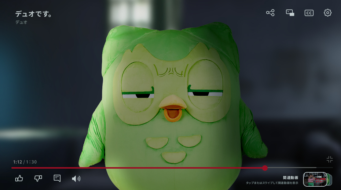 Duolingo(デュオリンゴ) | 日本公式🇯🇵 tweet media