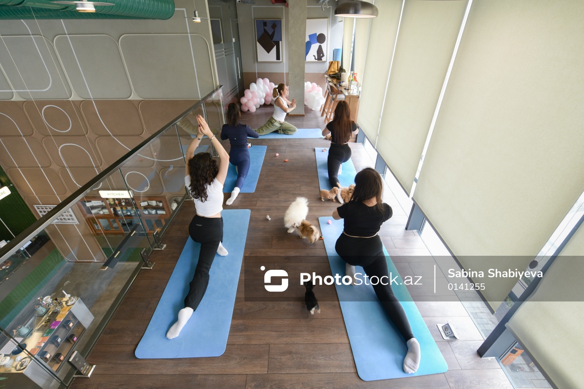 Photo Stock tweet media