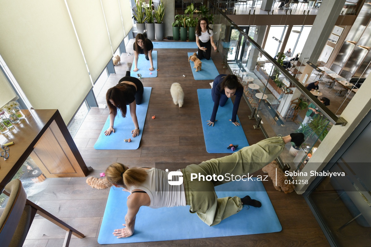 Photo Stock tweet media