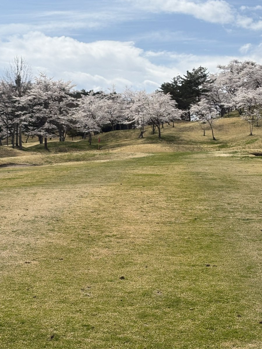 estemanis5's tweet photo. 7ラウンド目
毎年恒例お花見コンペ

県北はまだ開花しておらず残念な状況
追い討ちをかけるような激寒で結果も残念

せっかく年一の楽しみで遠くまで来たのになぁ

寂しいので去年の写真を載せとこ

今日は久々に身も心もボロボロでした
はぁメンエスで癒されたい https://t.co/tR8MRamsSd