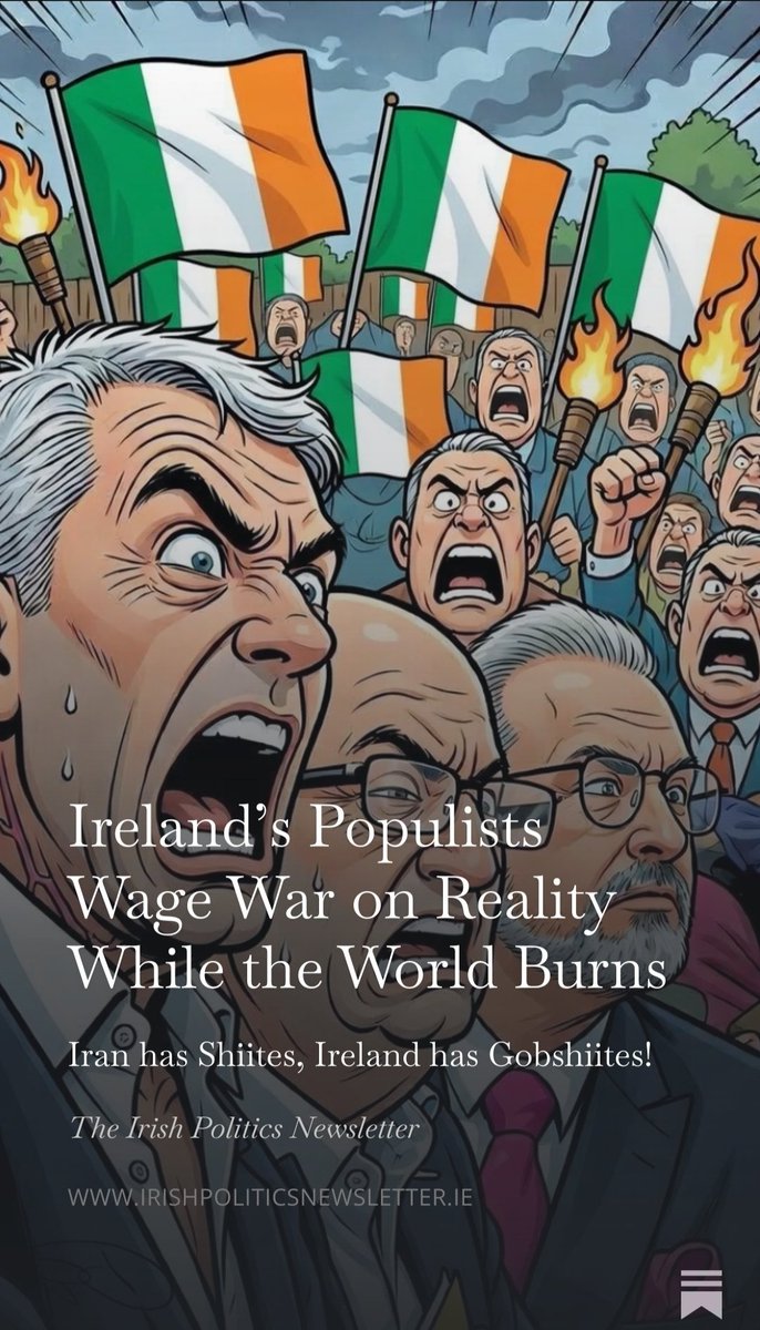 The Irish Politics Newsletter tweet media