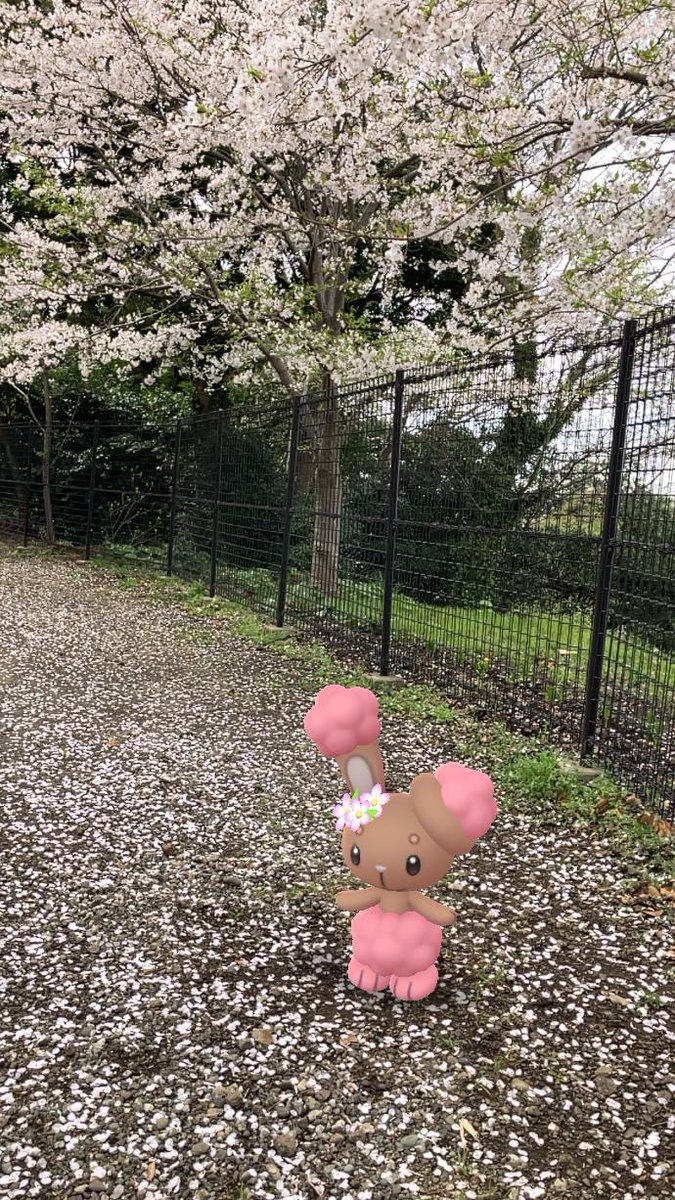 特別な衣装を身につけた色違いミミロルの1枚です。
お花見の際にGOスナップショットで撮影しました。
日常のイベントも、ポケモンと一緒にいるとより楽しめます🌸
 #pen_pokemon30