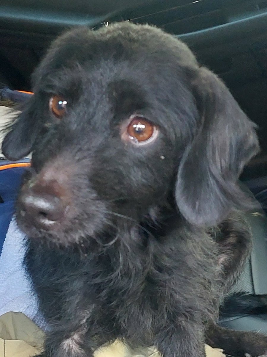 Harry 🇬🇧 tweet media