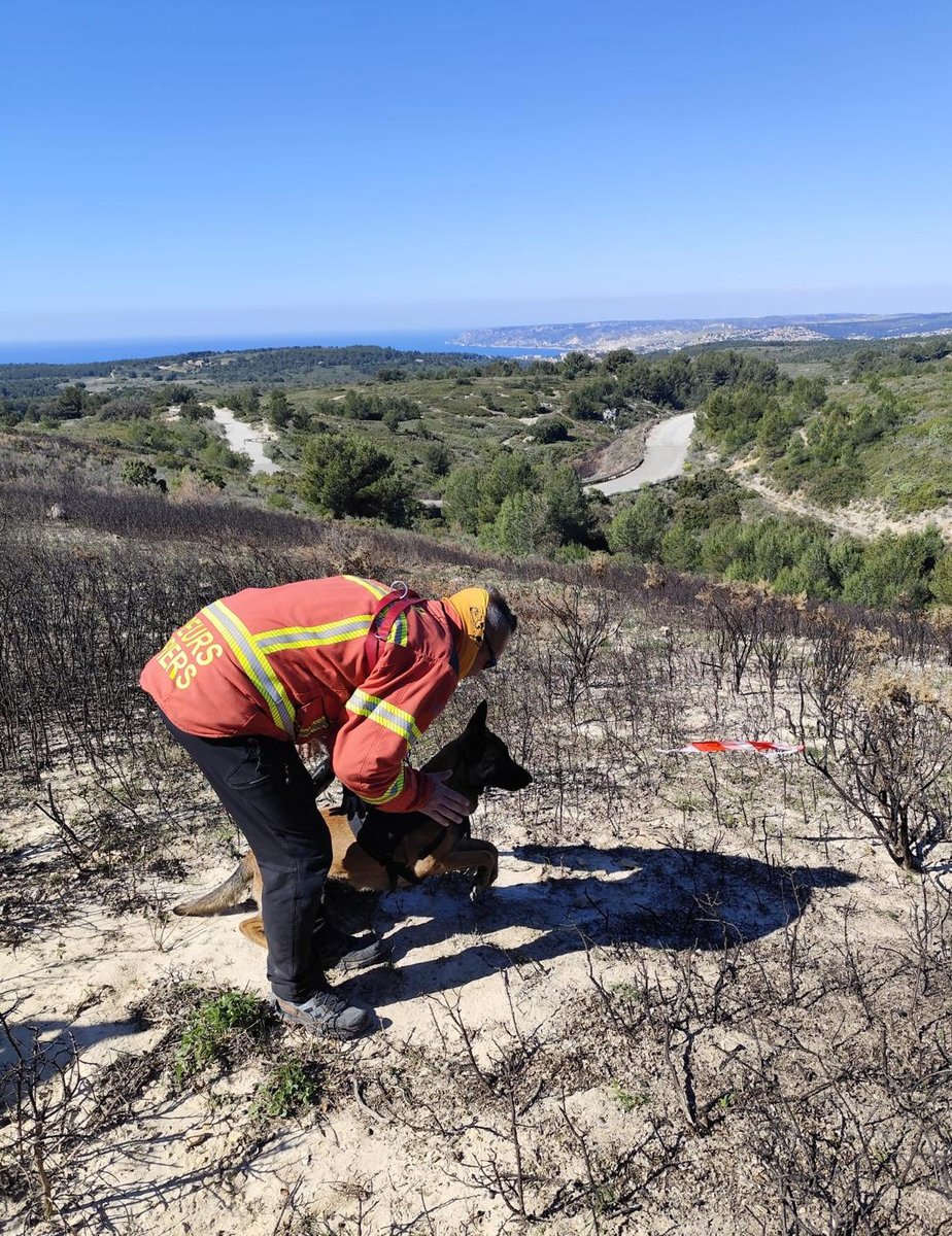 PompiersHerault's tweet photo. #Info|| 2 binômes de l'équipe cynotechnique du #SDIS de l'#Hérault ont fait la formation sur la recherche des produits accélérateurs d'#incendie à l'Ecole d'Application de la Sécurité Civile de Valabre Ces 2 chiens peuvent désormais intervenir en appui des équipes de #RCCI 🔥 https://t.co/fs5pHYfm7C