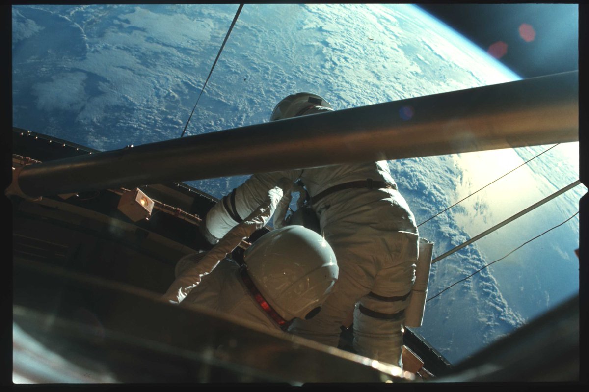 NoLifeJordan 🇨🇦🌌🚀 tweet media