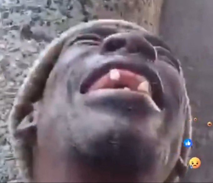 CRUSADER tweet media