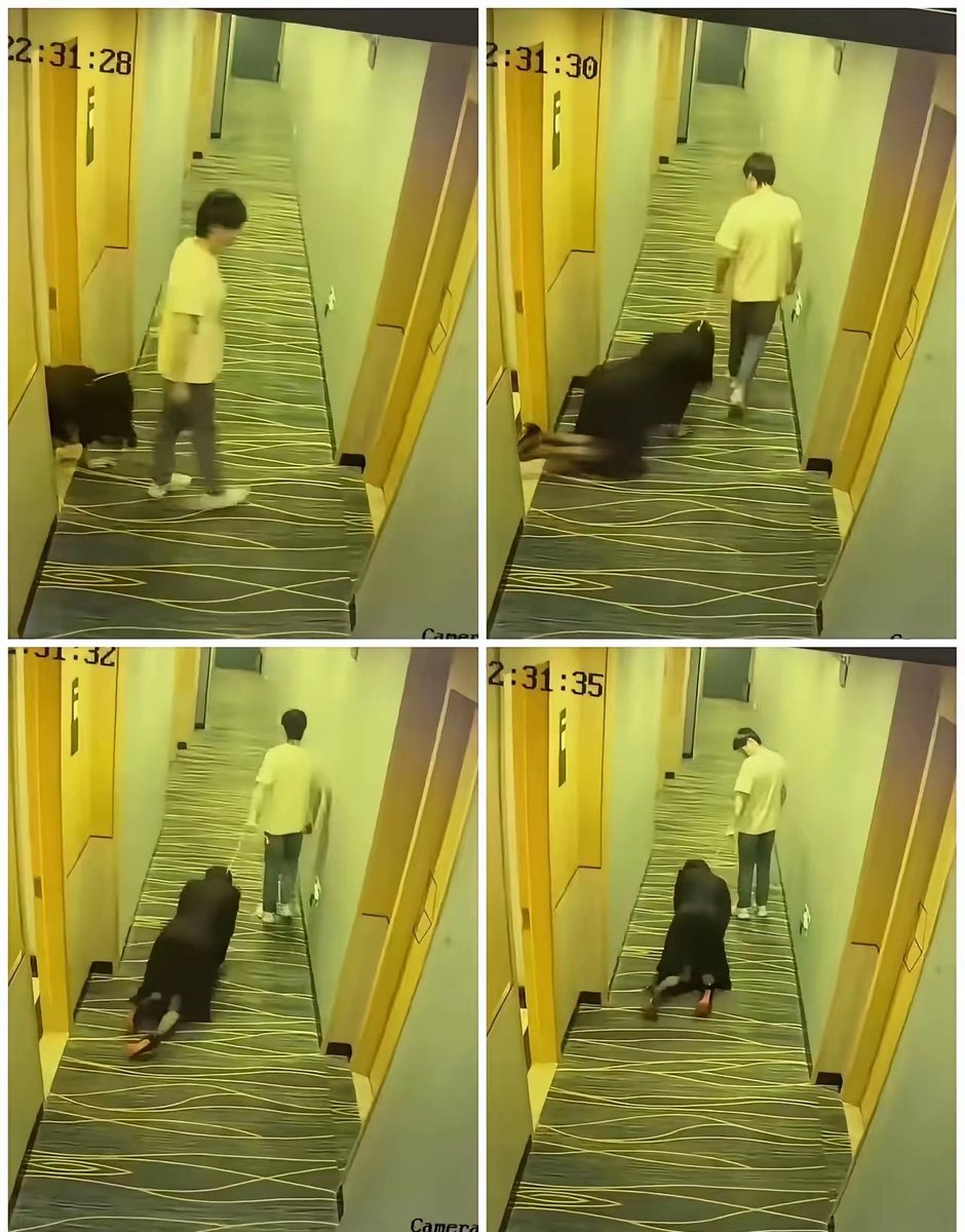 YOZI_柚 tweet media