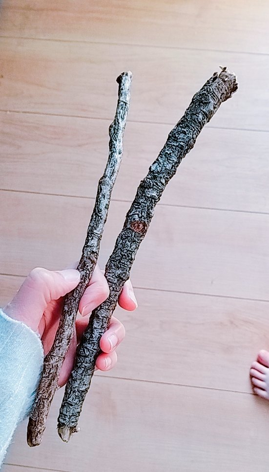 Sora🌾🐝 tweet media