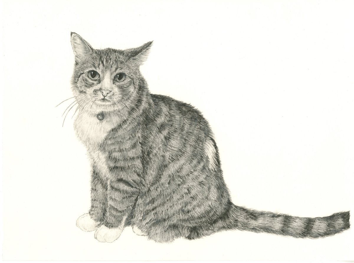 山田貴裕【画家・翻訳家】5/2-3 にゃんこ博覧会【グランフロント大阪】 tweet media