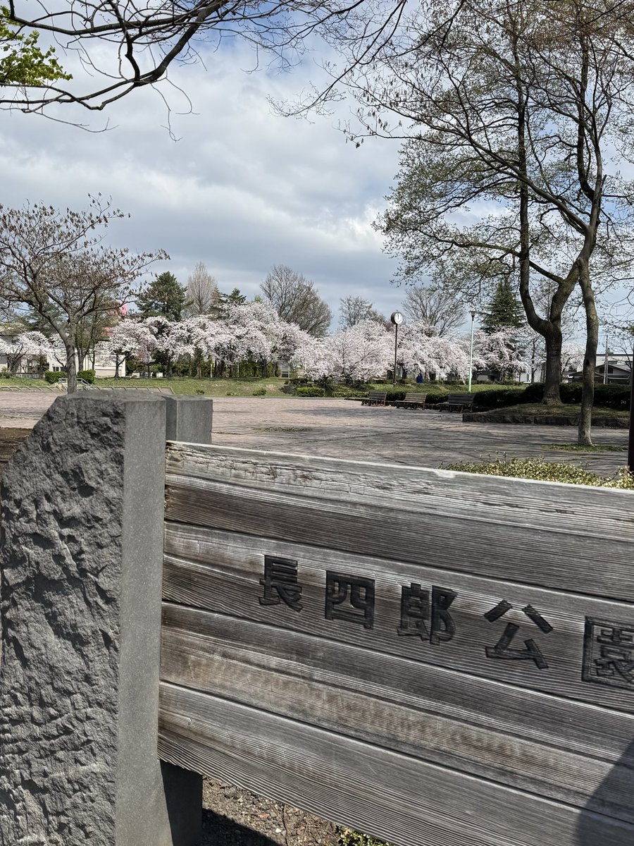 弘前公園ばっかもてはやされてるけど、地味に至る所に桜あってこの時期