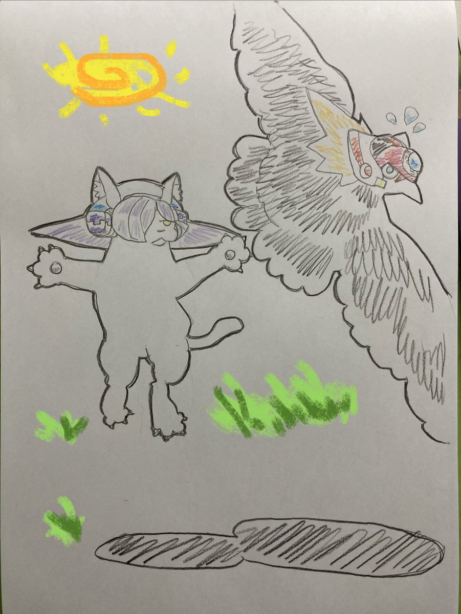 NOIE86060292's tweet photo. アクルミアクにゃん。
ネットに流れてきたかわいい猫ちゃんの動画、お借りしました🙏 https://t.co/Ed0llut6I1