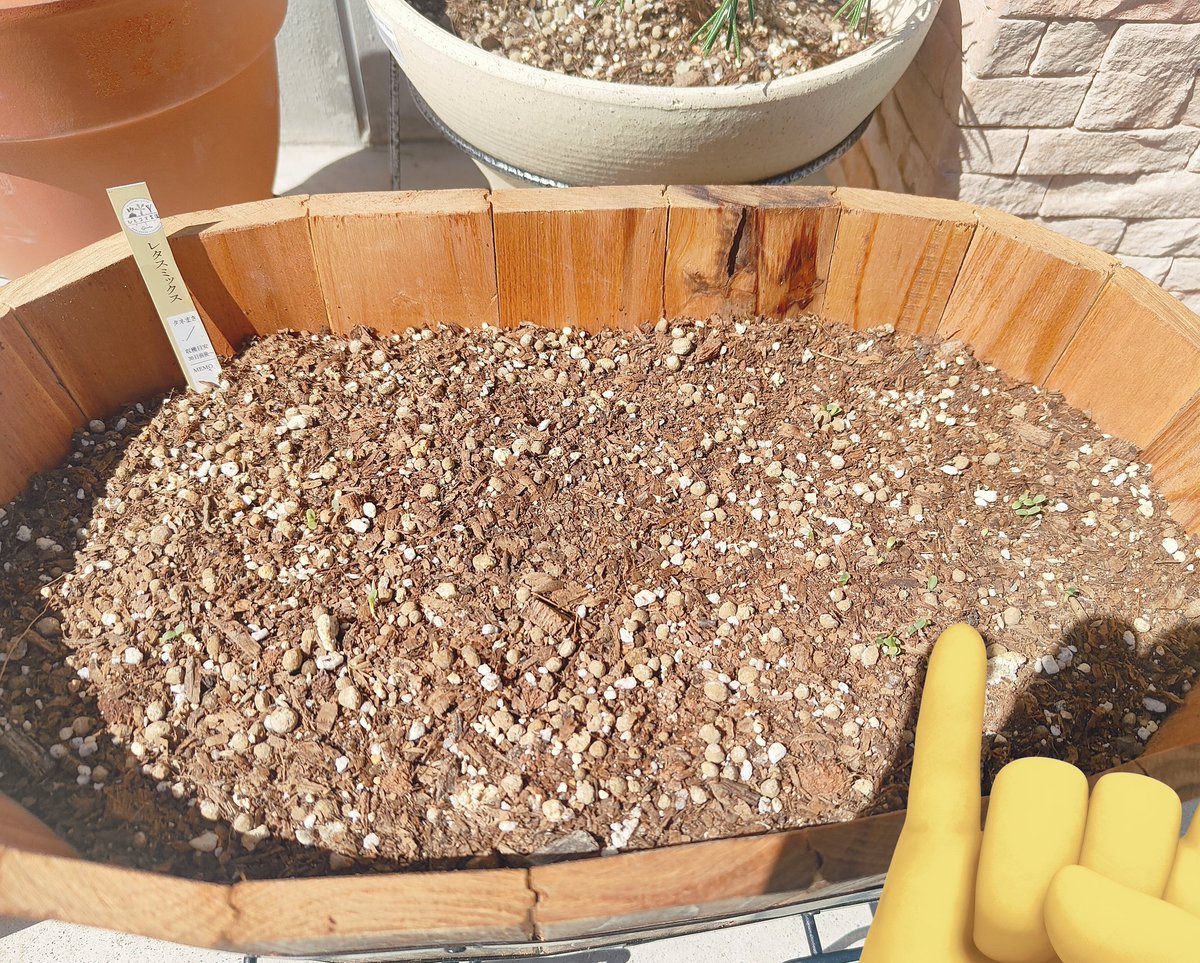 まぉあ🎮⋆͛ tweet media