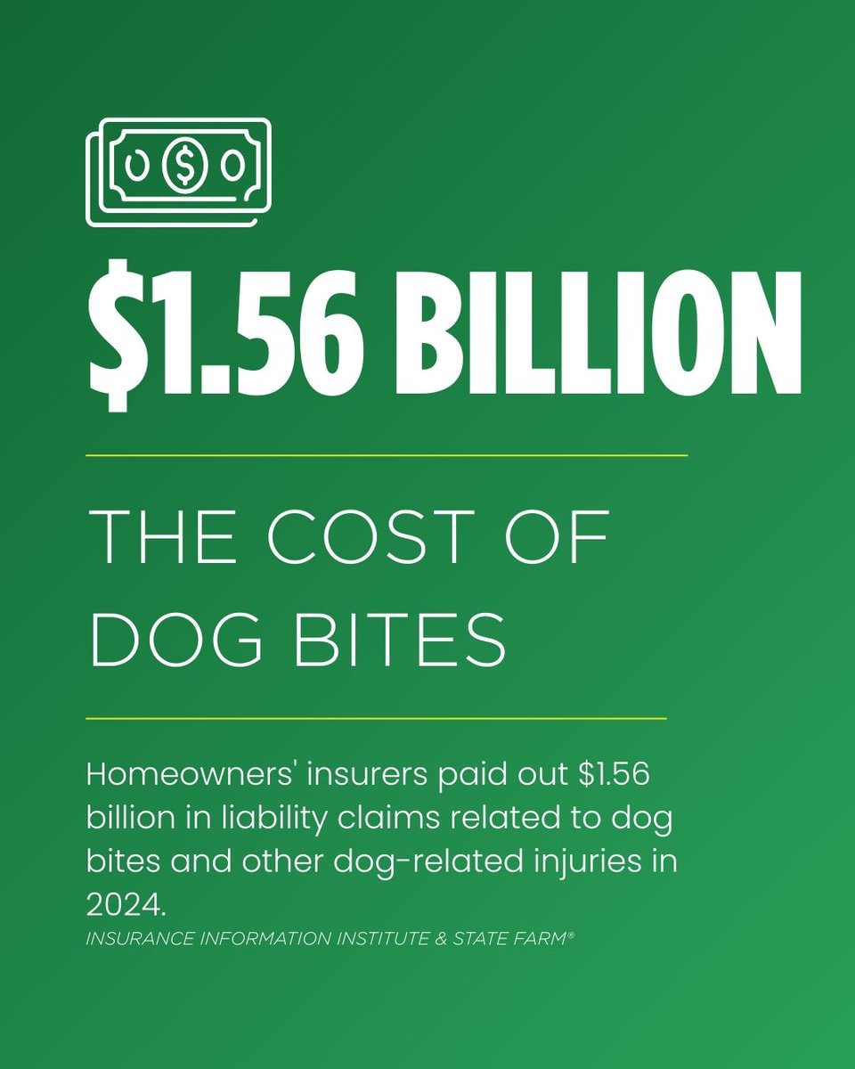 dogtrainerscot's tweet photo. Not only are dog bites dangerous for all involved, they’re costly. If you see any signs of aggression in your dog, it’s important to catch them early and work with a professional to address them. 
#PreventDogBites #DogBitePreventionWeek https://t.co/80QySEwFVK