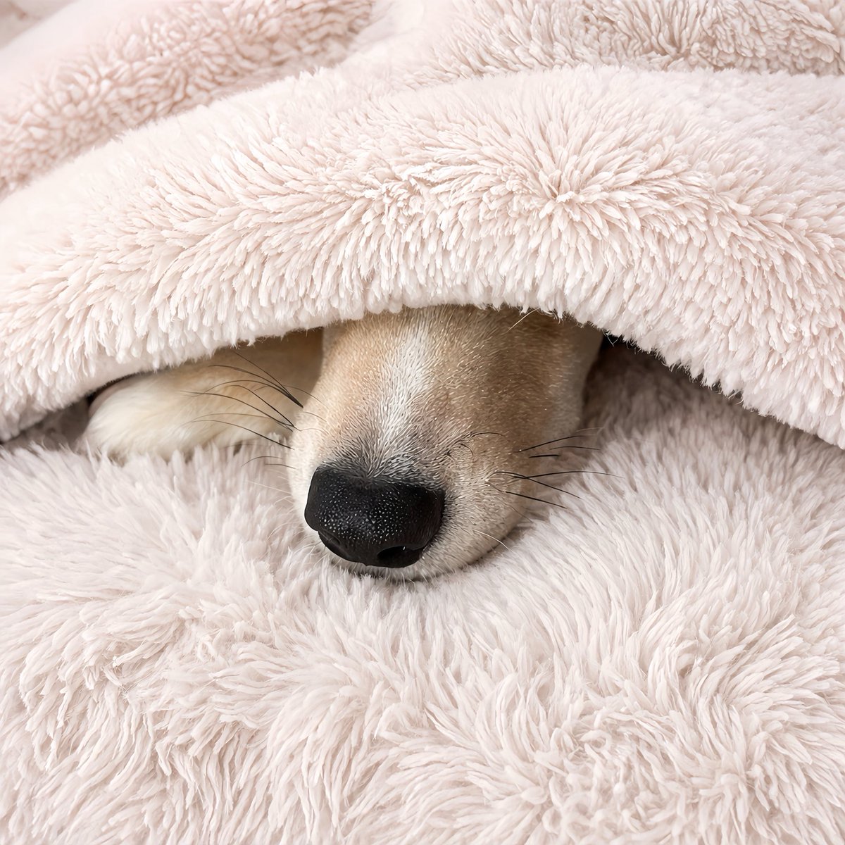 とうか｜追憶のかなた｜ATLAS tweet media