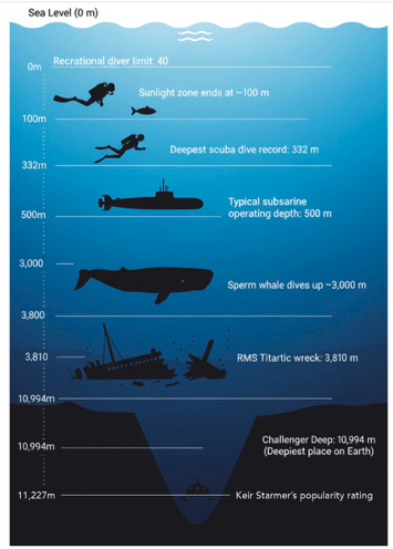 The Jackal… tweet media