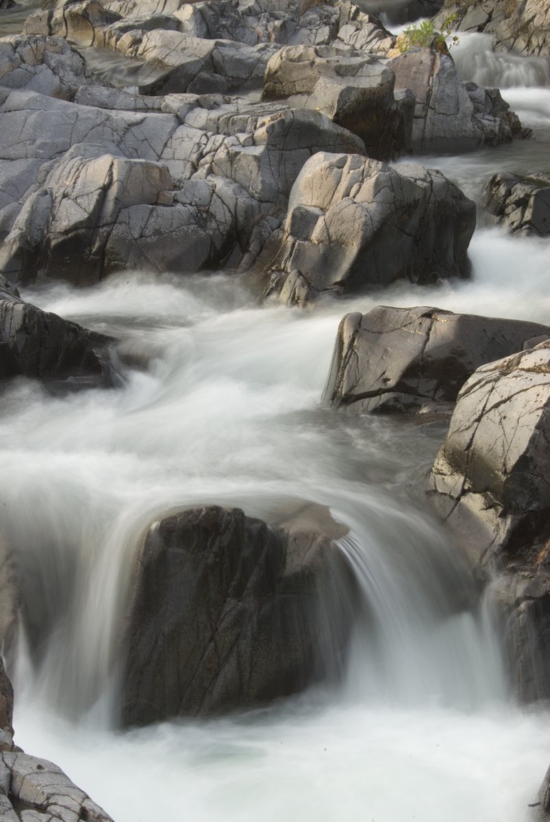 Missouri State Parks tweet media