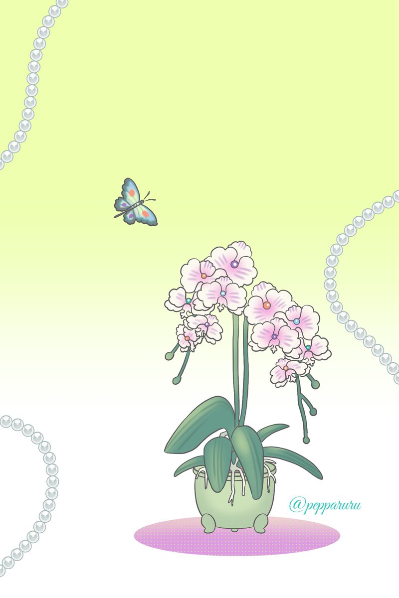 ⋆♱ 𝓟𝓮𝓹𝓹𝓪𝓻𝓾𝓻𝓾 ♱⋆💜CA11 G13-14 SUN tweet media